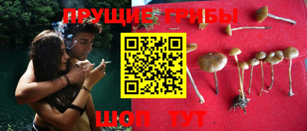 Псилоцибиновые грибы Magic Shrooms Всеволожск