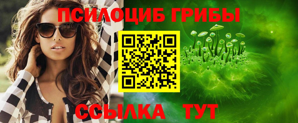 Всеволожск  Псилоцибиновые грибы ЛСД  Вход с VPN 