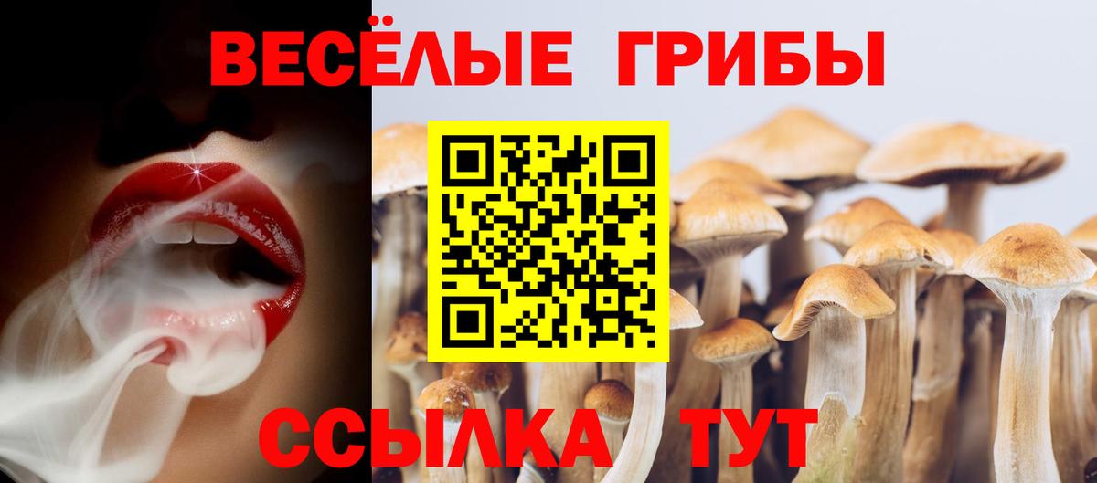 Цена  A-PVP СОЛЬ   Каннабис  Cocaine  АМФ кристаллы  Всеволожск  Меф МЯУ МЯУ   Гашиш  Вход с VPN 